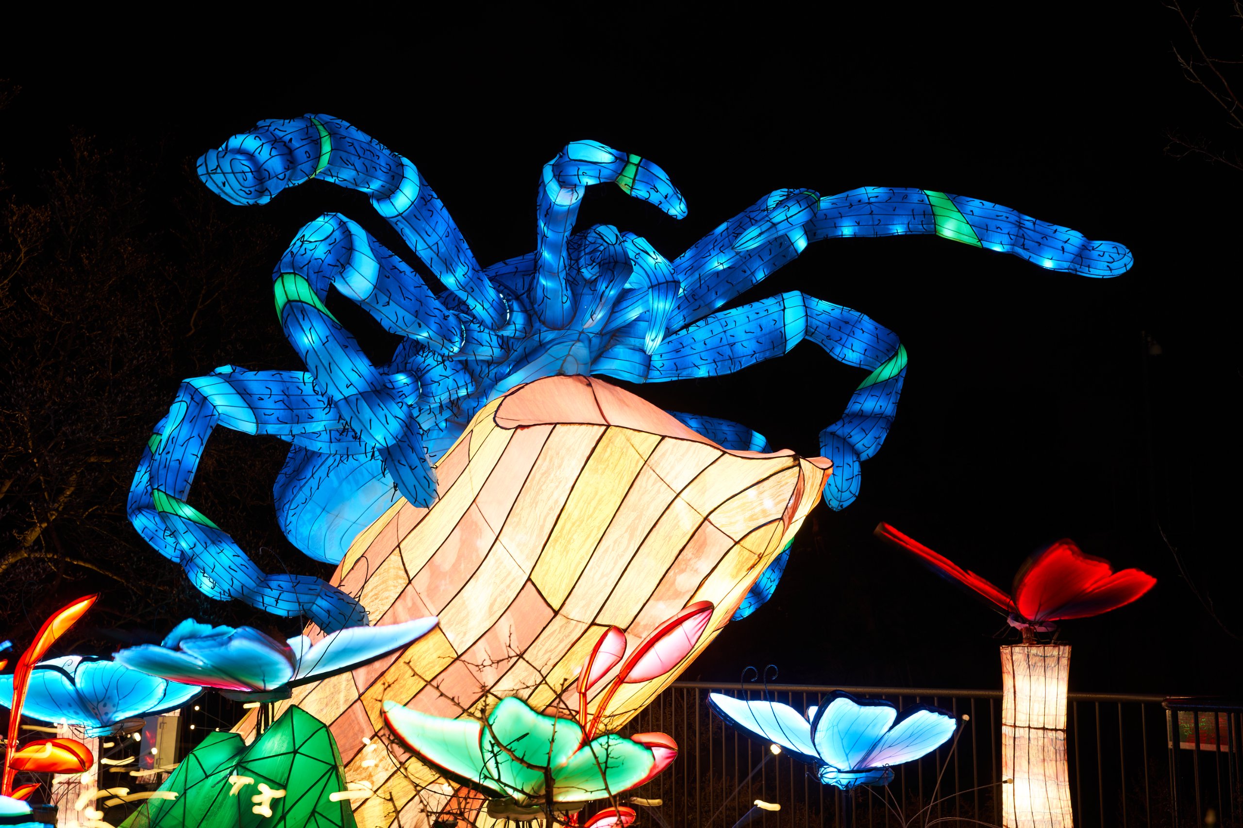 2024 01 03 Köln Zoo China Lights 1276